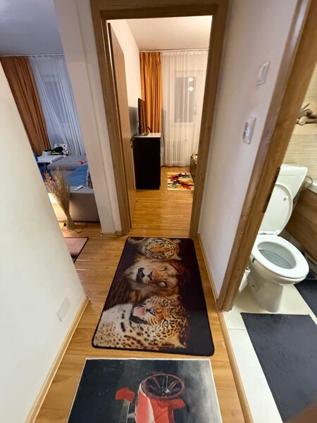 Dristor, Baba Novac, Parc IOR,